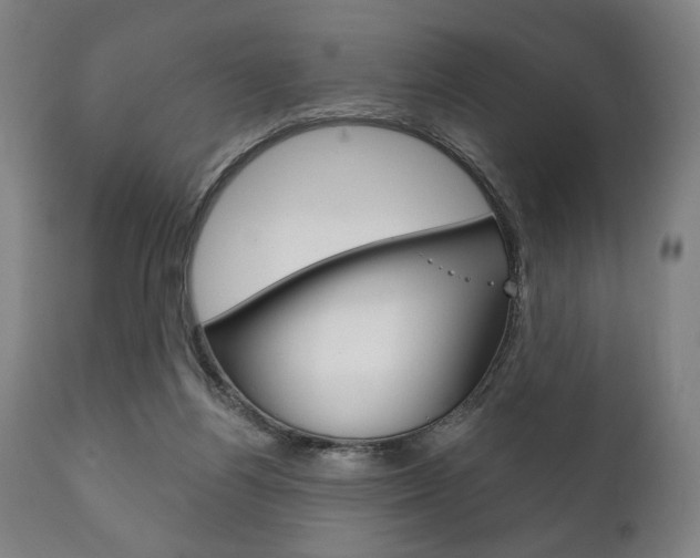 X0000111820164200907231033