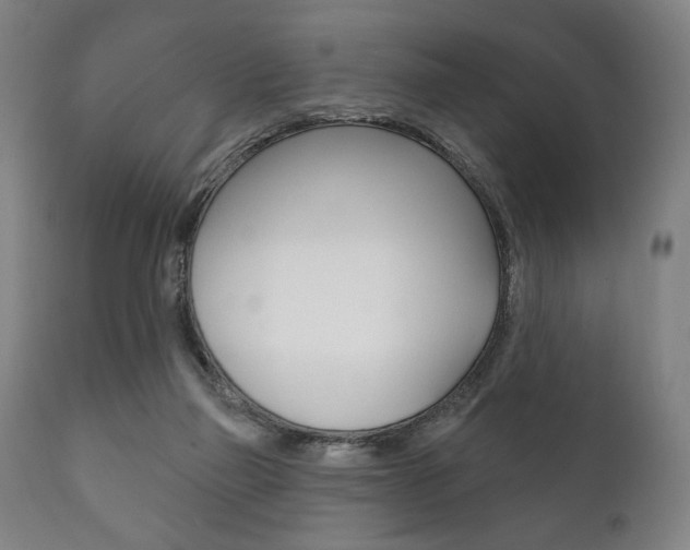X0000111820165200907231033