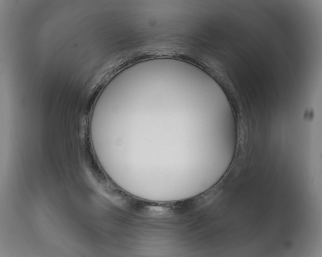 X0000111820167200907231033