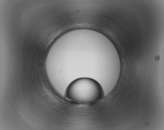 X0000111820168200907231033