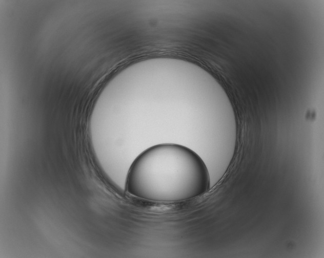 X0000111820172200907231033