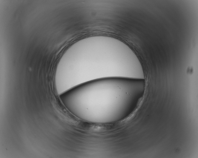 X0000111820174200907231033