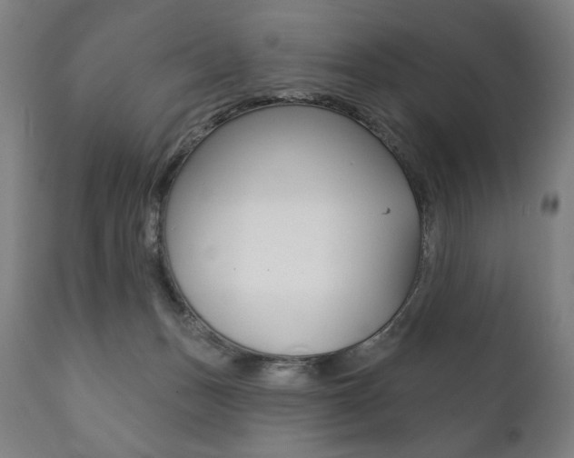 X0000111820175200907231033