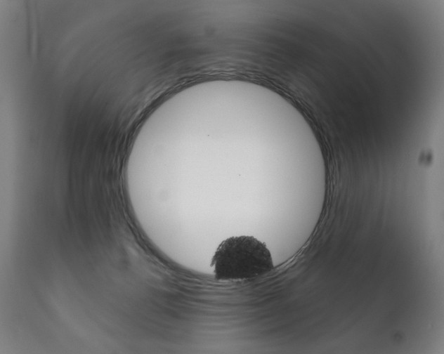 X0000111820176200907231033