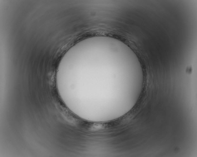 X0000111820177200907231033
