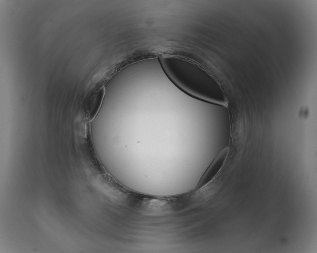 X0000111820180200907231033