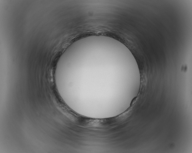 X0000111820182200907231033