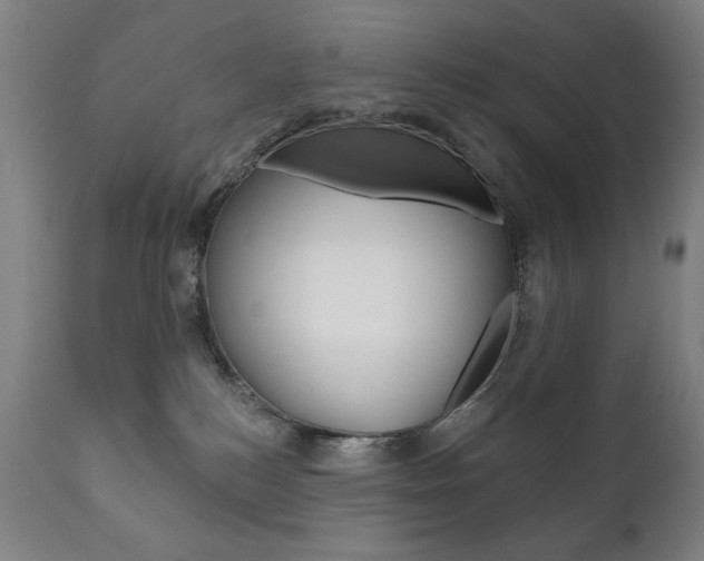 X0000111820184200907231033