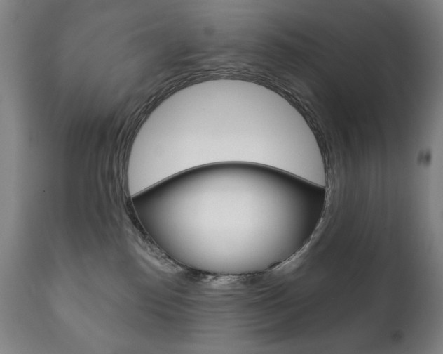 X0000111820186200907231033