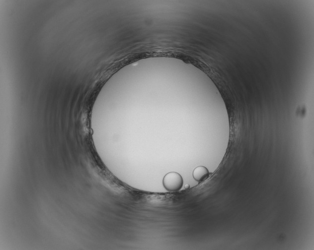 X0000111820187200907231033