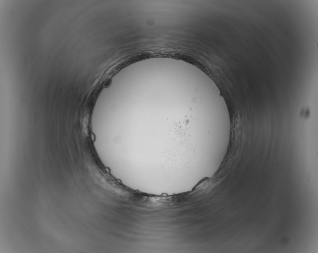 X0000111820188200907231033