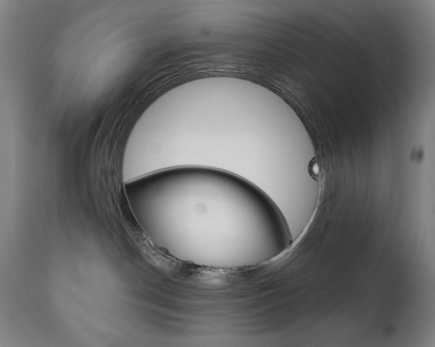 X0000111820190200907231033