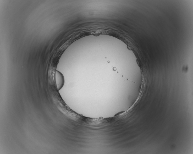 X0000111820191200907231033