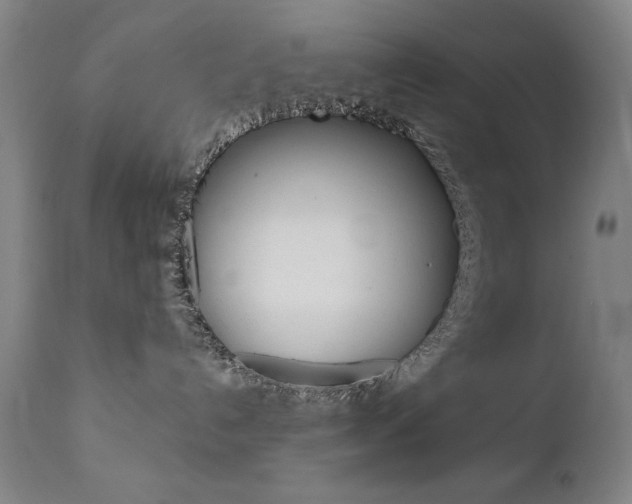 X0000111820192200907231033