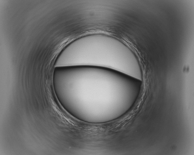 X0000111820193200907231033