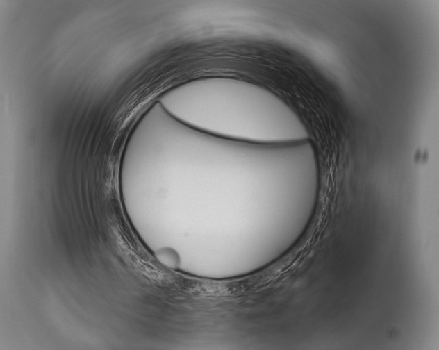 X0000111820194200907231033
