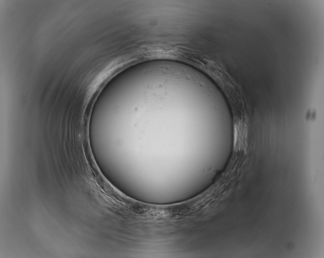 X0000111820195200907231033
