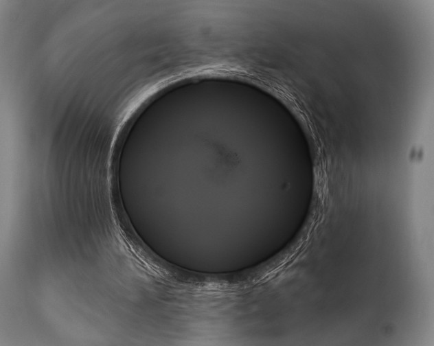 X0000111820196200907231033