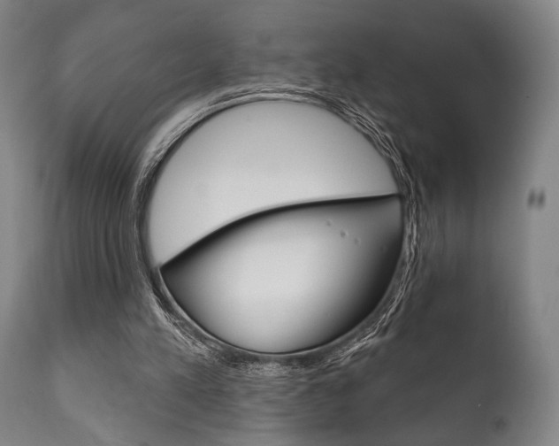 X0000111820197200907231033