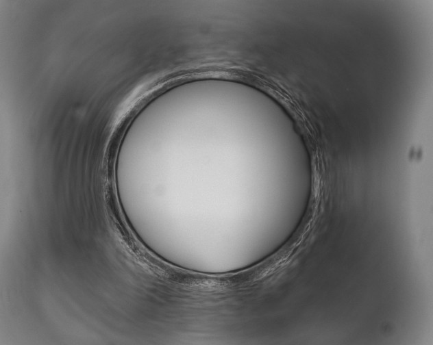 X0000111820198200907231033