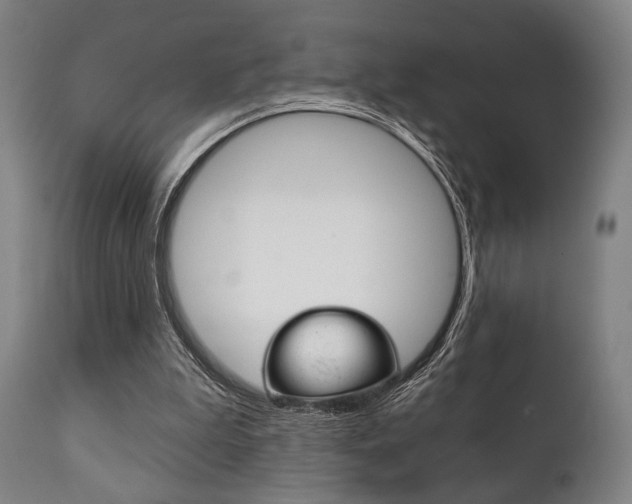 X0000111820199200907231032