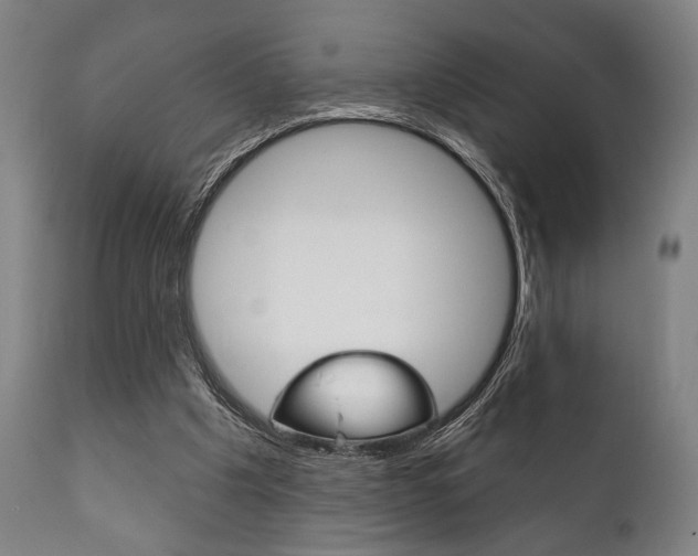 X0000111820201200907231032