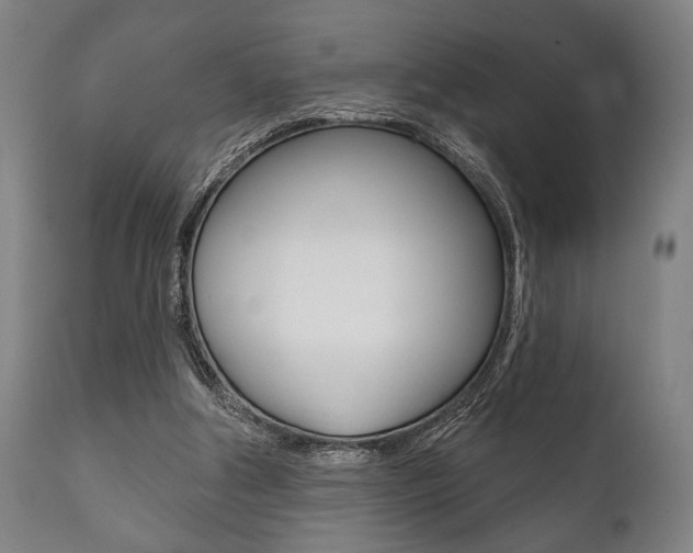 X0000111820202200907231032