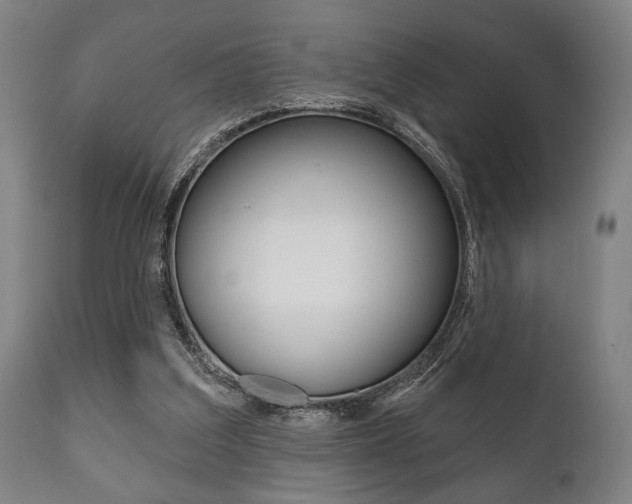 X0000111820203200907231032