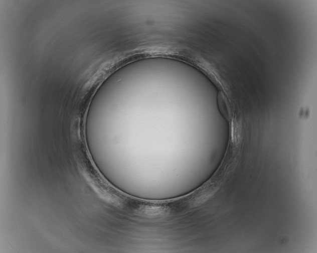 X0000111820205200907231032