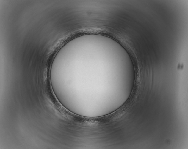 X0000111820206200907231032