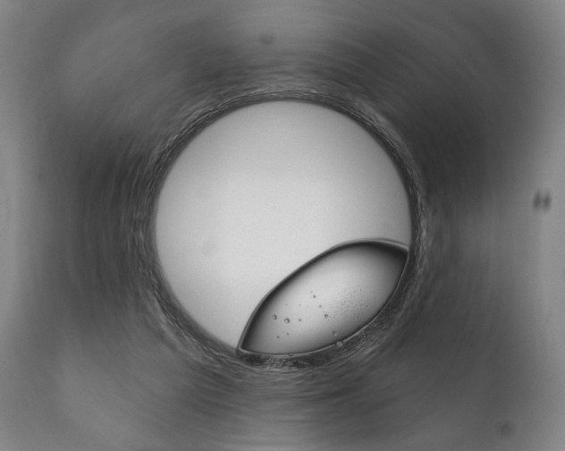 X0000111820209200907231032