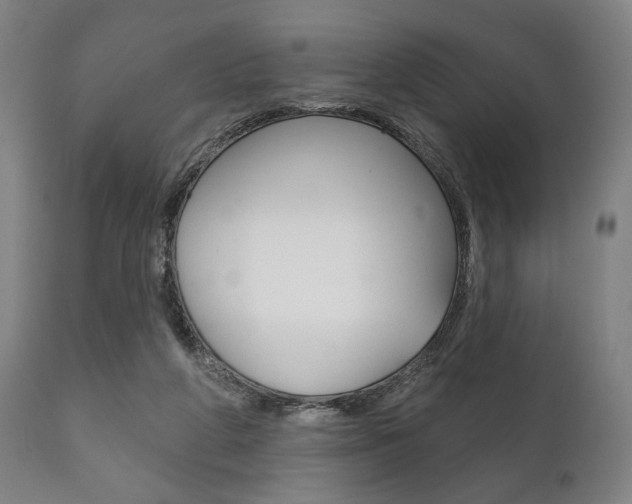 X0000111820210200907231032