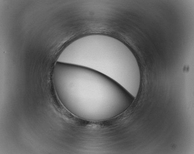 X0000111820211200907231032