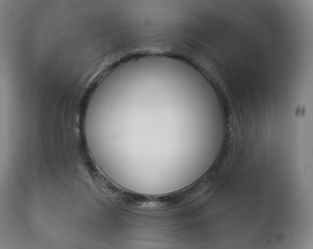 X0000111820212200907231032