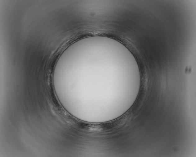 X0000111820214200907231032