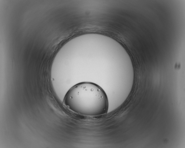 X0000111820215200907231032