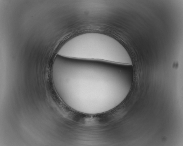 X0000111820216200907231032