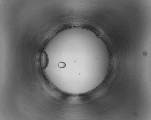 X0000111820217200907231032