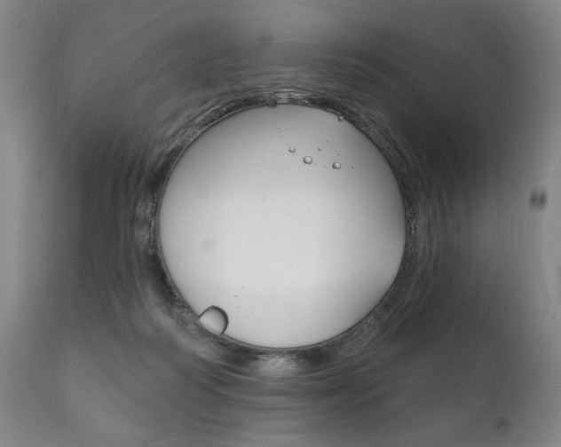 X0000111820218200907231032