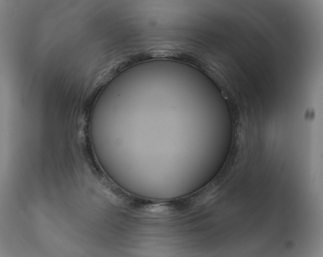 X0000111820219200907231032