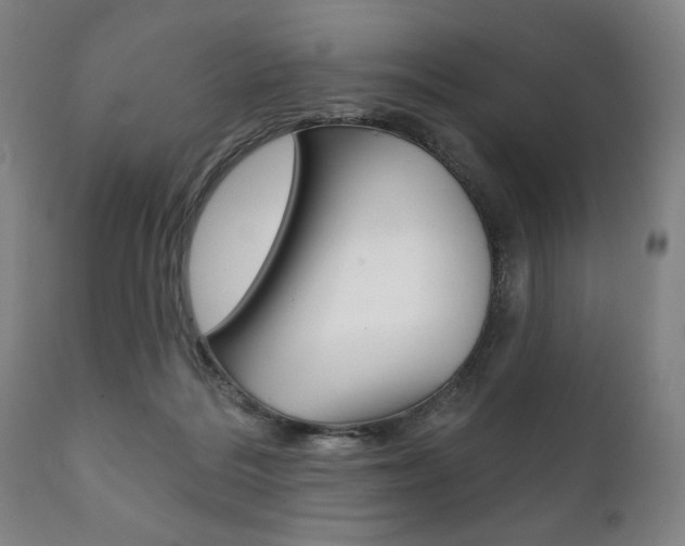 X0000111820220200907231032