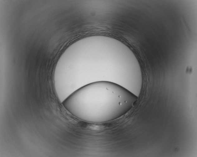 X0000111820221200907231032