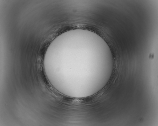 X0000111820222200907231032
