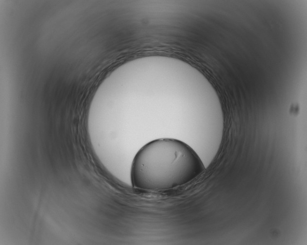X0000111820223200907231032