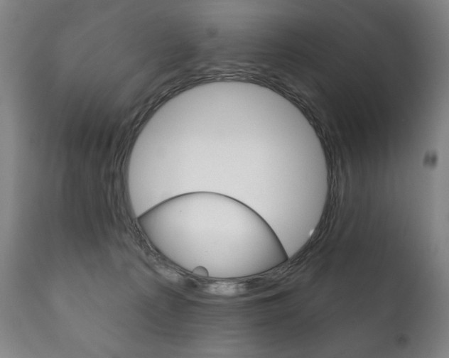 X0000111820225200907231032