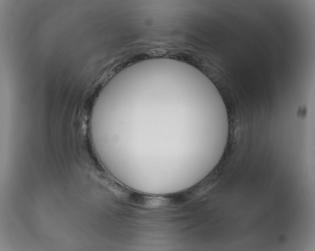 X0000111820226200907231032