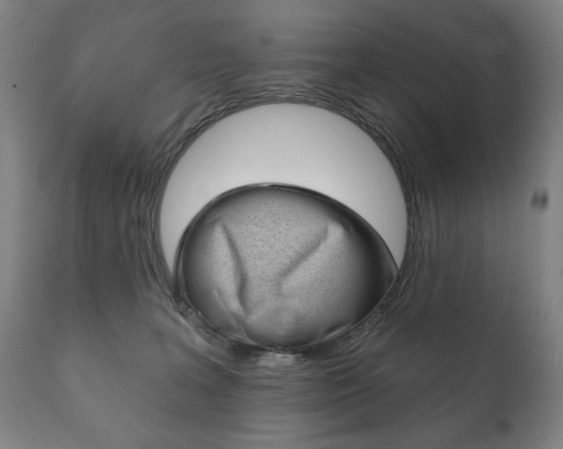 X0000111820227200907231032
