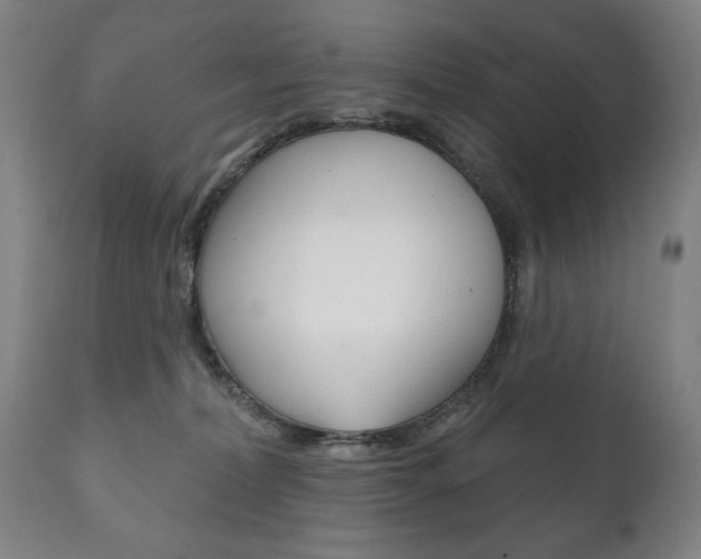 X0000111820228200907231032