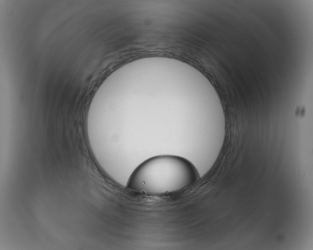 X0000111820229200907231032