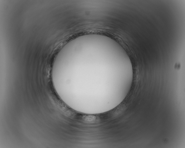 X0000111820230200907231032